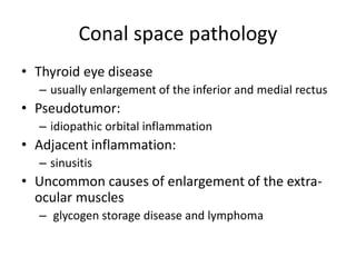 Conal space pathology
• Thyroid eye disease
– usually enlargement of the inferior and medial rectus
• Pseudotumor:
– idiopathic orbital inflammation
• Adjacent inflammation:
– sinusitis
• Uncommon causes of enlargement of the extra-
ocular muscles
– glycogen storage disease and lymphoma
 