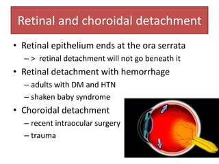 Retinal and choroidal detachment
• Retinal epithelium ends at the ora serrata
– > retinal detachment will not go beneath it
• Retinal detachment with hemorrhage
– adults with DM and HTN
– shaken baby syndrome
• Choroidal detachment
– recent intraocular surgery
– trauma
 