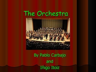 The Orchestra By Pablo Carbajo and Iñigo Itoiz 