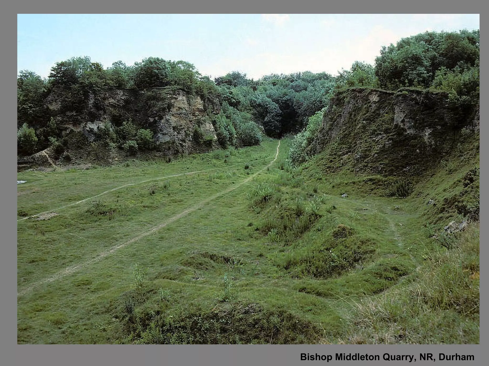Bishop Middleton Quarry, NR, Durham 