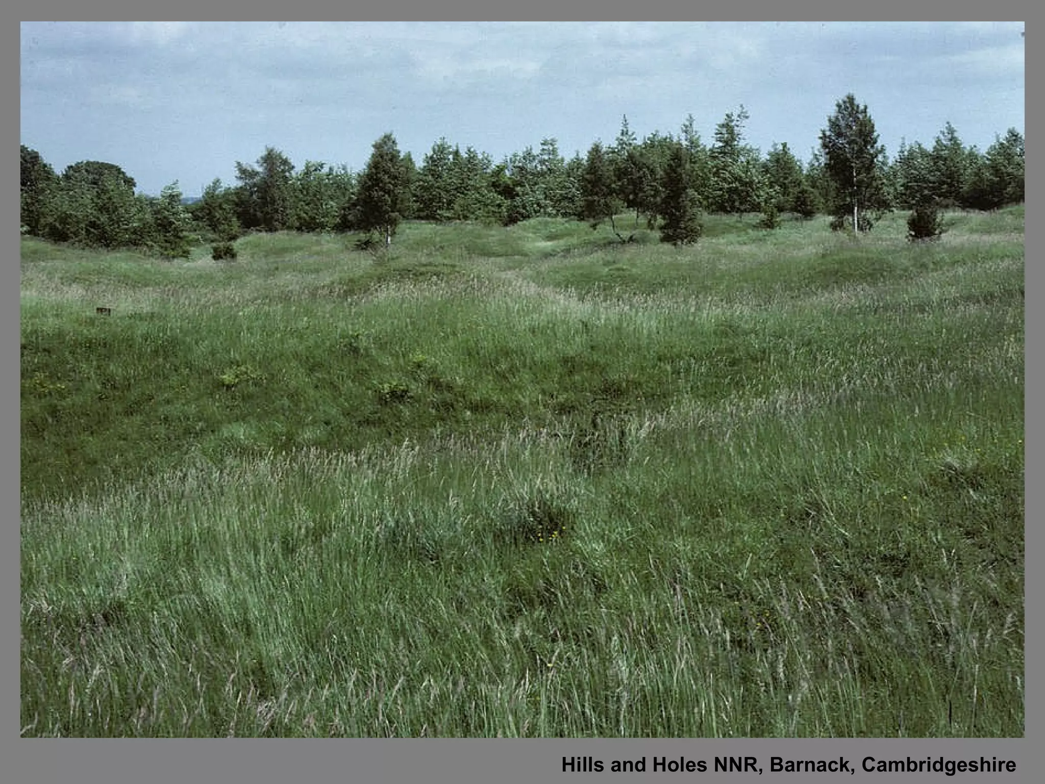 Hills and Holes NNR, Barnack, Cambridgeshire  