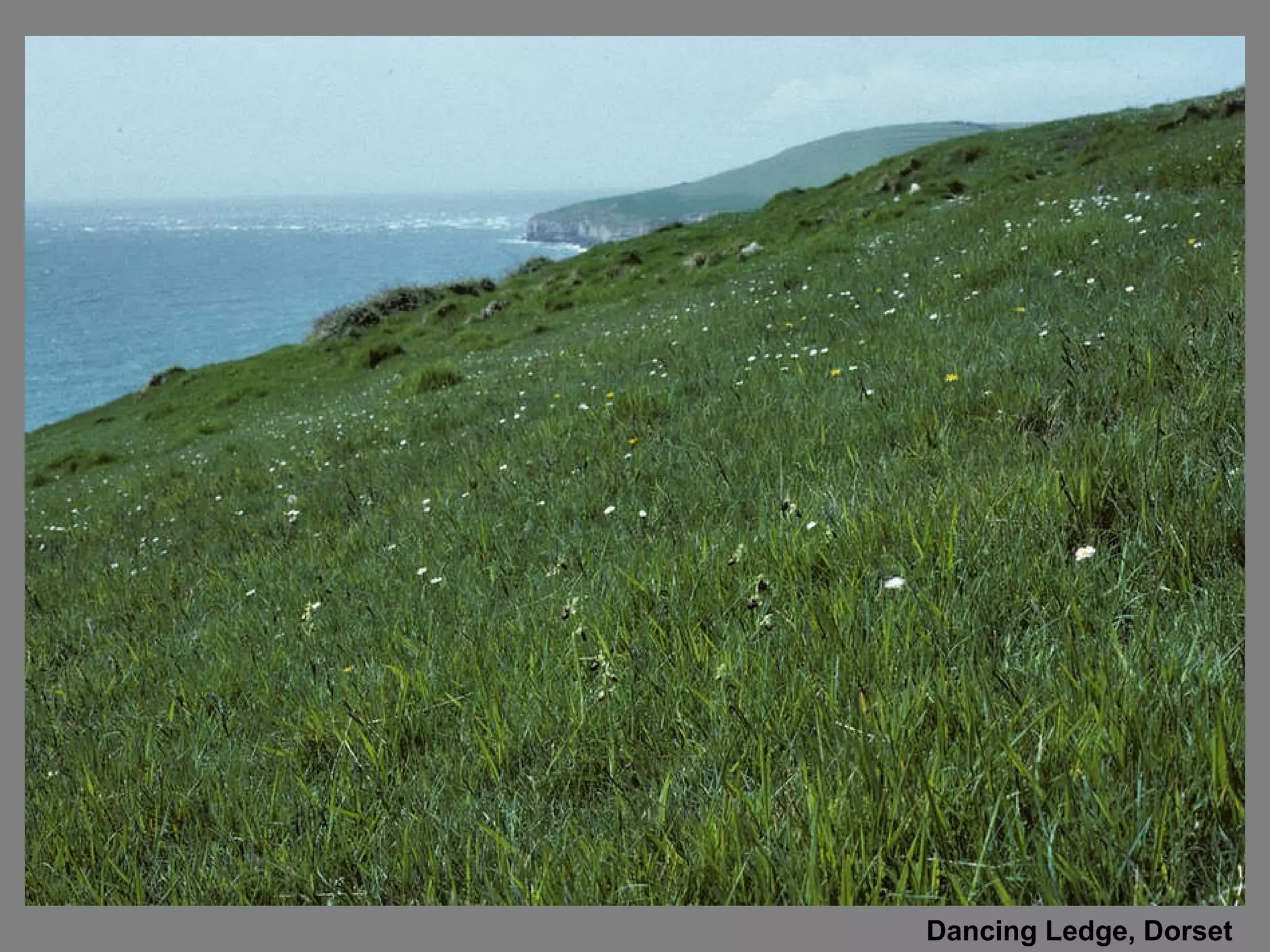 Dancing Ledge, Dorset 