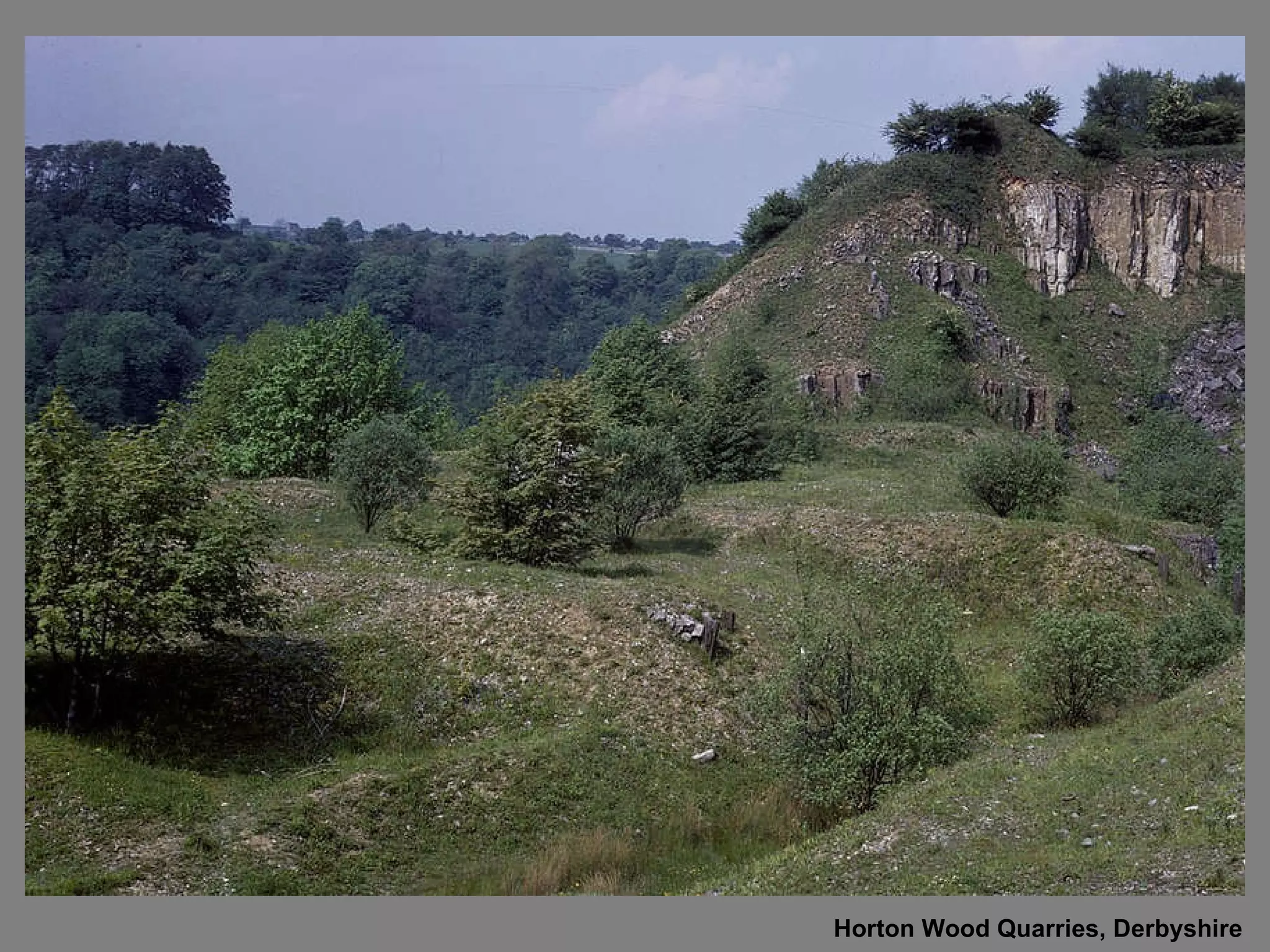 Horton Wood Quarries, Derbyshire 