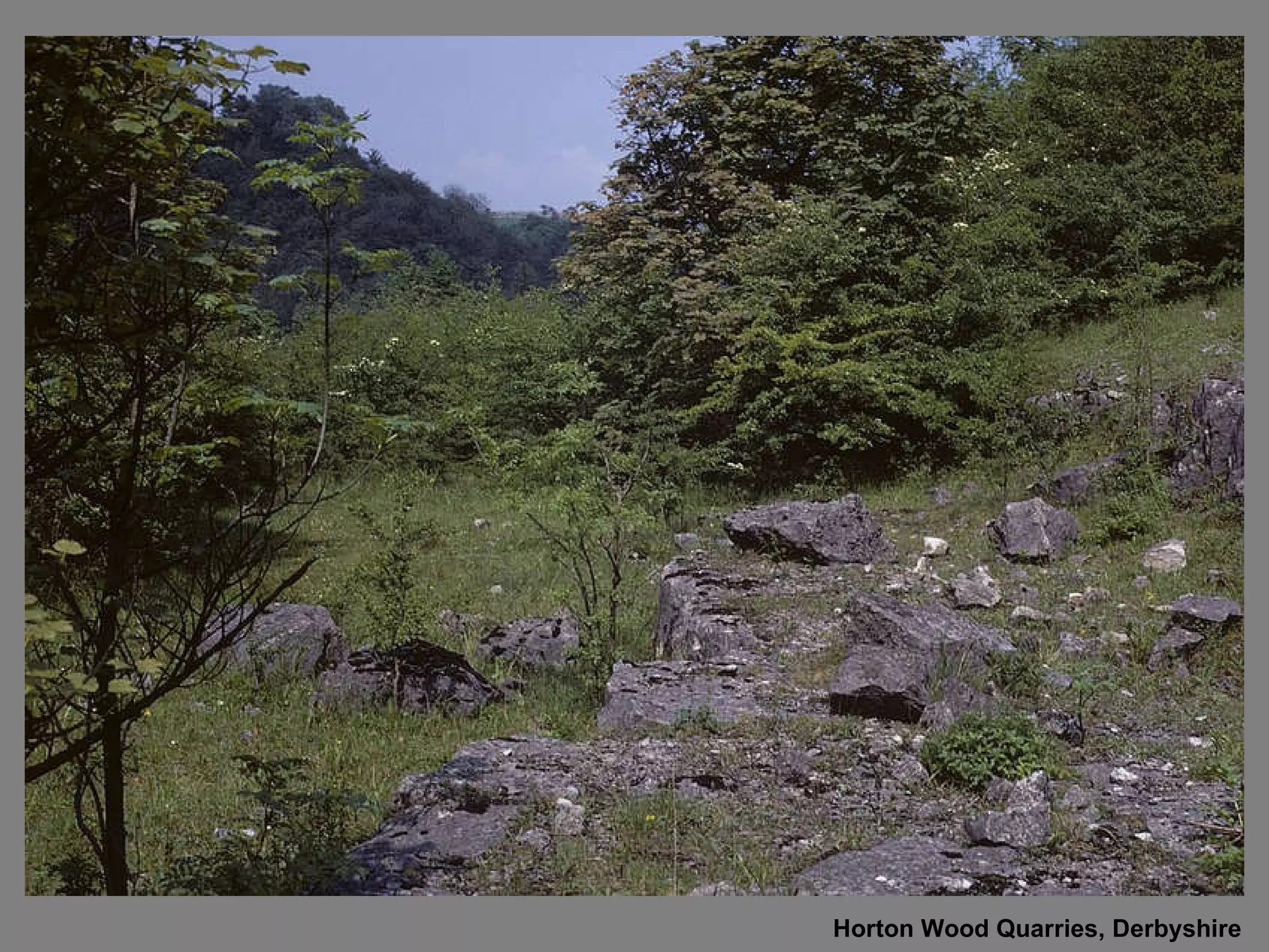 Horton Wood Quarries, Derbyshire 