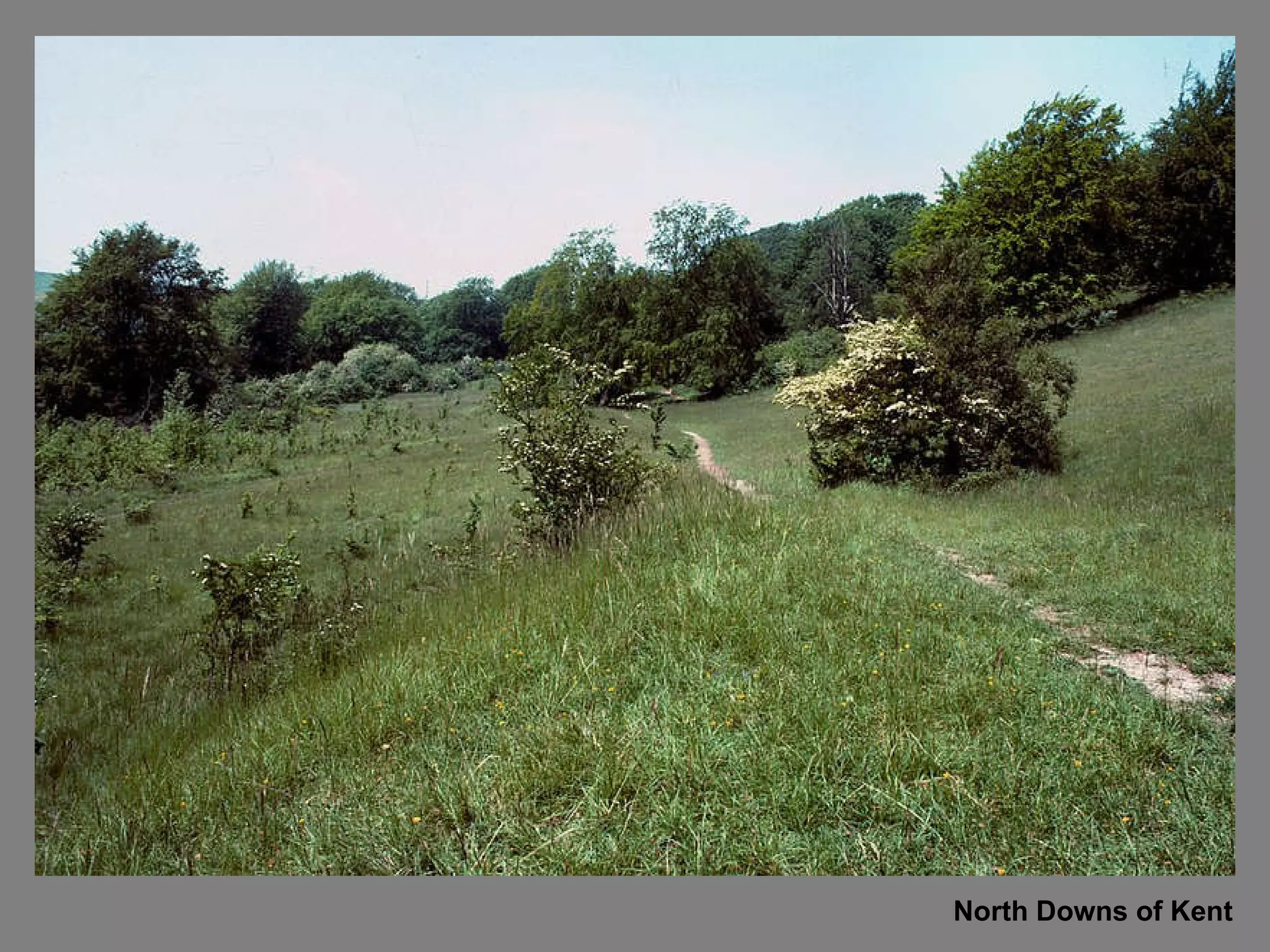 North Downs of Kent 