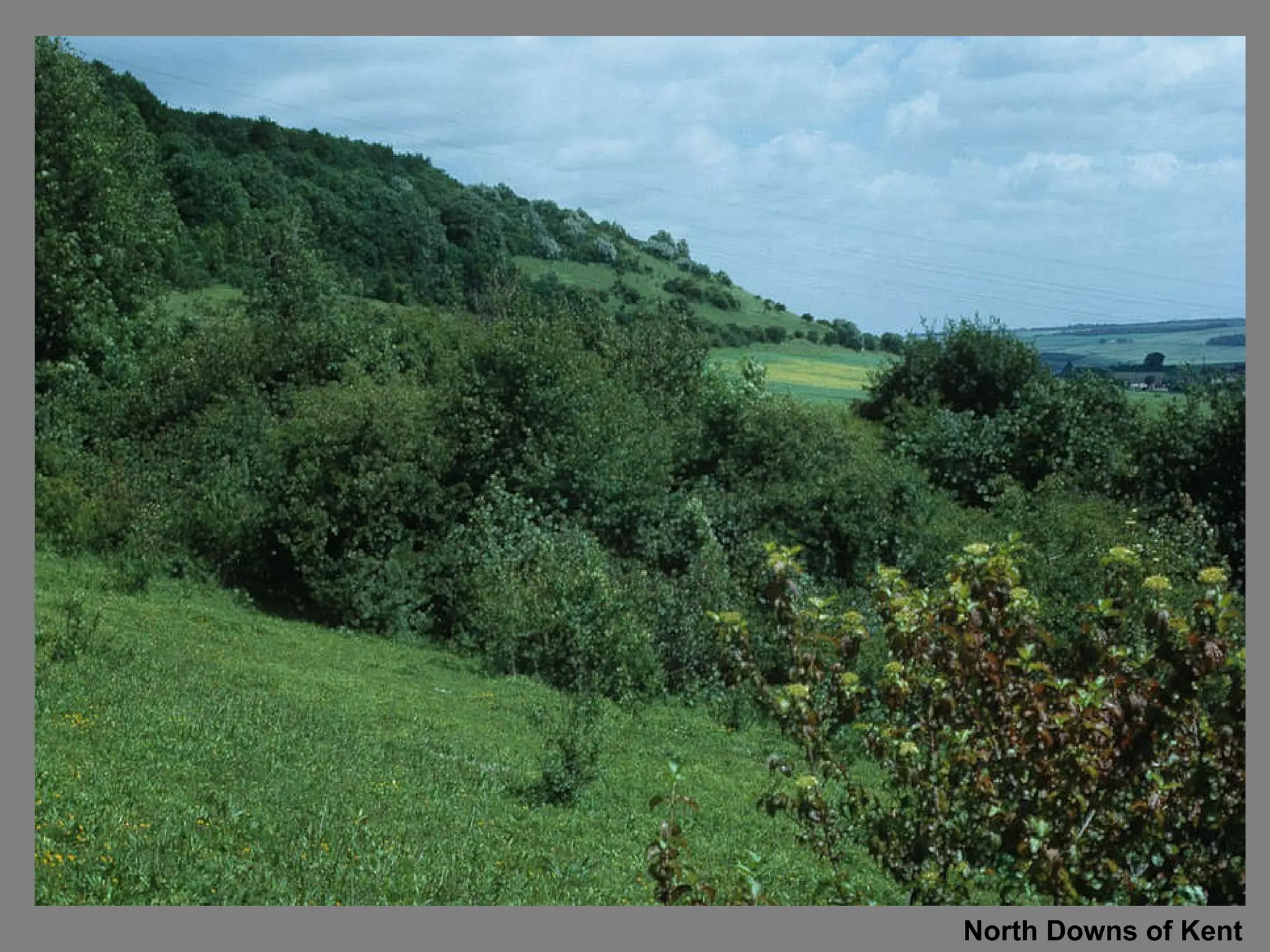 North Downs of Kent 