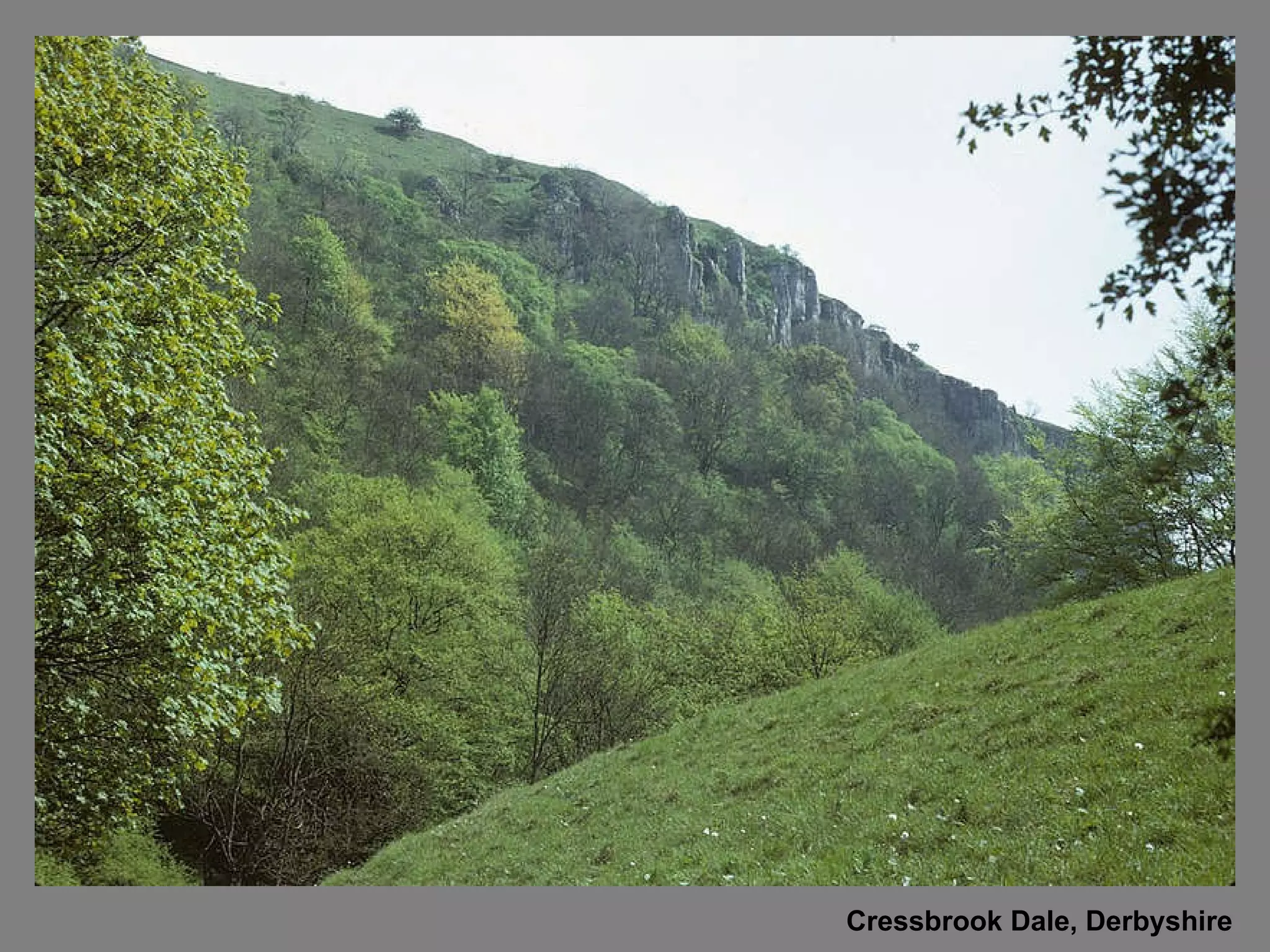Cressbrook Dale, Derbyshire 