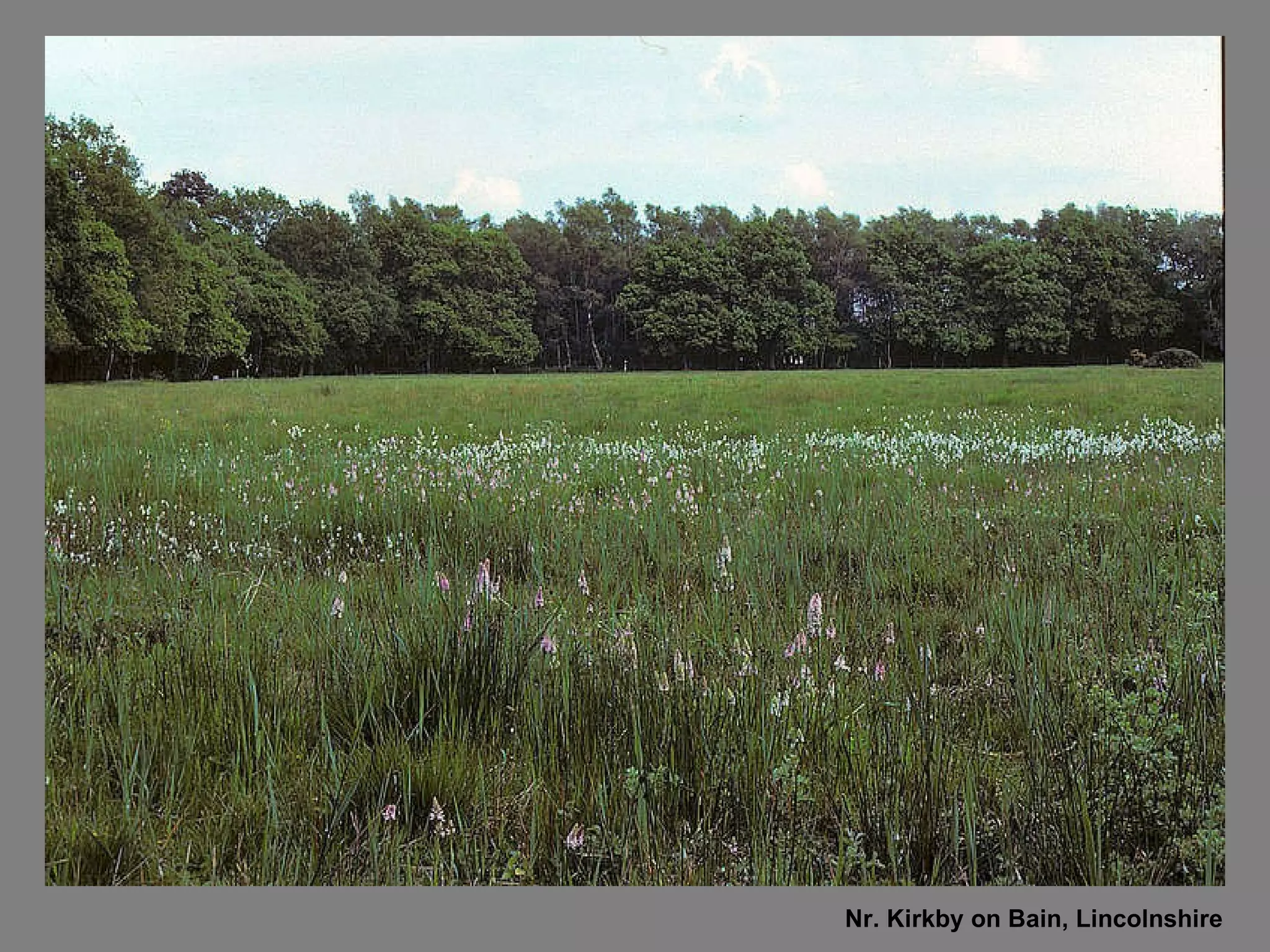 Nr. Kirkby on Bain, Lincolnshire 