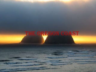 The oregon coast
 