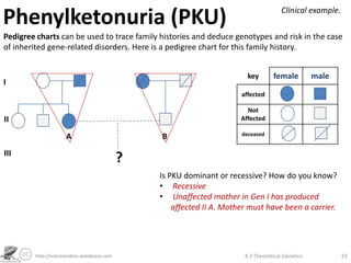 Phenylketonuria (PKU)                                                                   Clinical example.

Pedigree charts can be used to trace family histories and deduce genotypes and risk in the case
of inherited gene-related disorders. Here is a pedigree chart for this family history.


                                                                          key       female          male
I
                                                                        affected

                                                                          Not
II                                                                      Affected

                     A                           B                      deceased


III
                                             ?
                                                 Is PKU dominant or recessive? How do you know?
                                                 • Recessive
                                                 • Unaffected mother in Gen I has produced
                                                     affected II A. Mother must have been a carrier.




        http://sciencevideos.wordpress.com                               4.3 Theoretical Genetics           23
 