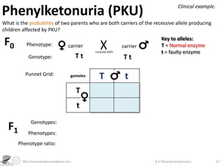 Theoretical Genetics | PPTX