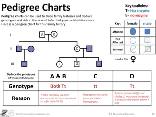 Pedigree Charts                                                                                          Key to alleles:
                                                                                                         T= Has enzyme
Pedigree charts can be used to trace family histories and deduce                                         t = no enzyme
genotypes and risk in the case of inherited gene-related disorders.
Here is a pedigree chart for this family history.                                              Key:       female         male

                                                                                             affected

                                                                                               Not
                                                                                             Affected

                                                                                             deceased


                                                                                               Looks like



   Deduce the genotypes
    of these individuals:                      A&B                        C                                  D
     Genotype                                  Both Tt                     tt                                Tt
                                                                                               To have produced affected
                                  Trait is recessive, as both     Recessive traits only
                                                                                               child H, D must have inherited
       Reason                     are normal, yet have produced
                                  an affected child (C)
                                                                  expressed when
                                                                  homozygous.
                                                                                               a recessive allele from either A
                                                                                               or B


          http://sciencevideos.wordpress.com                                              4.3 Theoretical Genetics                30
 