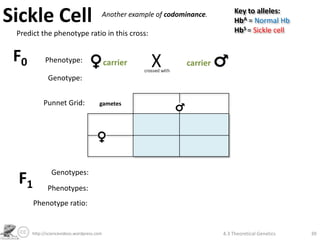 Sickle Cell                                Another example of codominance.        Key to alleles:
                                                                                  HbA = Normal Hb
                                                                                  HbS = Sickle cell
 Predict the phenotype ratio in this cross:


 F0         Phenotype:                     carrier                 carrier
             Genotype:


           Punnet Grid:               gametes




               Genotypes:
 F1          Phenotypes:
      Phenotype ratio:


      http://sciencevideos.wordpress.com                                     4.3 Theoretical Genetics   39
 