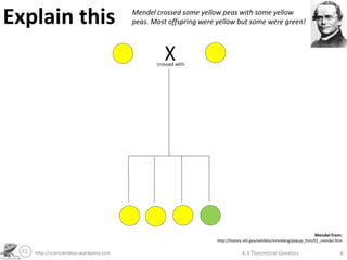 Explain this                            Mendel crossed some yellow peas with some yellow
                                        peas. Most offspring were yellow but some were green!




                                                                                                                    Mendel from:
                                                                  http://history.nih.gov/exhibits/nirenberg/popup_htm/01_mendel.htm

   http://sciencevideos.wordpress.com                                         4.3 Theoretical Genetics                            6
 