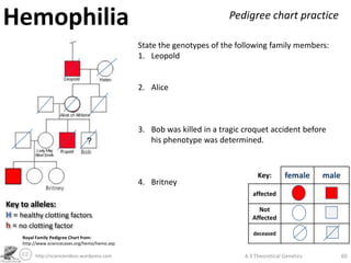 Hemophilia                                                                Pedigree chart practice

                                                 State the genotypes of the following family members:
                                                 1. Leopold


                                                 2. Alice



                                                 3. Bob was killed in a tragic croquet accident before
                                                    his phenotype was determined.



                                                                                    Key:       female     male
                                                 4. Britney
                                                                                  affected
Key to alleles:
                                                                                    Not
H = healthy clotting factors                                                      Affected
h = no clotting factor
                                                                                  deceased
     Royal Family Pedigree Chart from:
     http://www.sciencecases.org/hemo/hemo.asp

          http://sciencevideos.wordpress.com                                   4.3 Theoretical Genetics          60
 