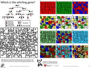 Whirling Gene activity from the awesome Learn.Genetics site:
http://learn.genetics.utah.edu/archive/pedigree/mapgene.html


              http://sciencevideos.wordpress.com               4.3 Theoretical Genetics   74
 
