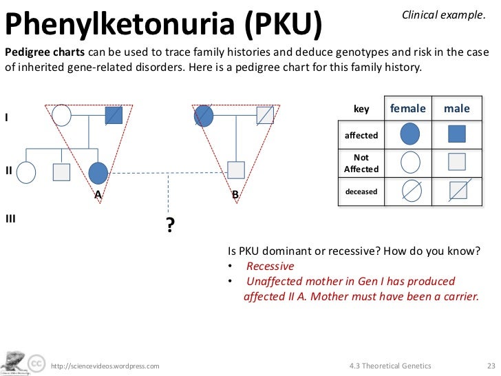 Theoretical Genetics