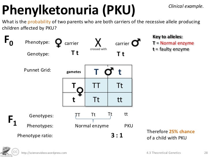 A Faulty Chromosome - Craving To Be Coddled So We Feel Fake-Safe A Faulty Chromosome - Craving To Be Coddled So We Feel Fake-Safe