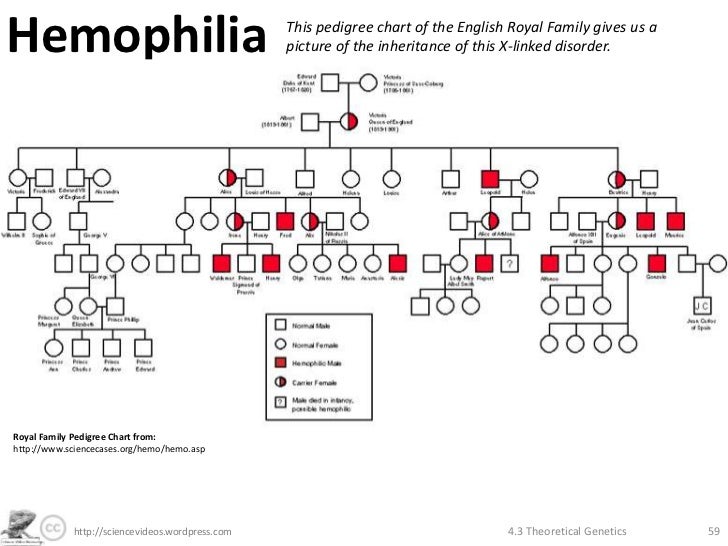 Hemophilia Pedigree Chart Royal Family