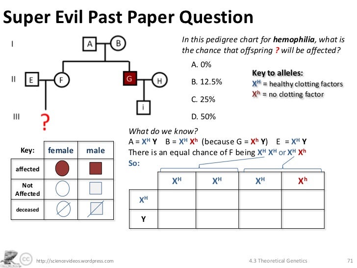 Theoretical Genetics Theoretical Genetics
