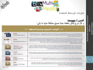 14
INSA 483
MultimediaSystemsDevelopment
IPRG473
IbrahimAledane
‫المتعددة‬ ‫الوسائط‬ ‫مكونات‬
‫الصورة‬Image
‫يلي‬ ‫ما‬ ‫منها‬ ‫مختلفة‬ ‫صيغ‬ ‫بعدة‬ ‫حفظه‬ ‫يمكن‬ ‫نوع‬ ‫كل‬ ‫و‬:
 