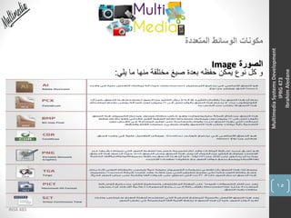 15
INSA 483
MultimediaSystemsDevelopment
IPRG473
IbrahimAledane
‫المتعددة‬ ‫الوسائط‬ ‫مكونات‬
‫الصورة‬Image
‫يلي‬ ‫ما‬ ‫منها‬ ‫مختلفة‬ ‫صيغ‬ ‫بعدة‬ ‫حفظه‬ ‫يمكن‬ ‫نوع‬ ‫كل‬ ‫و‬:
 