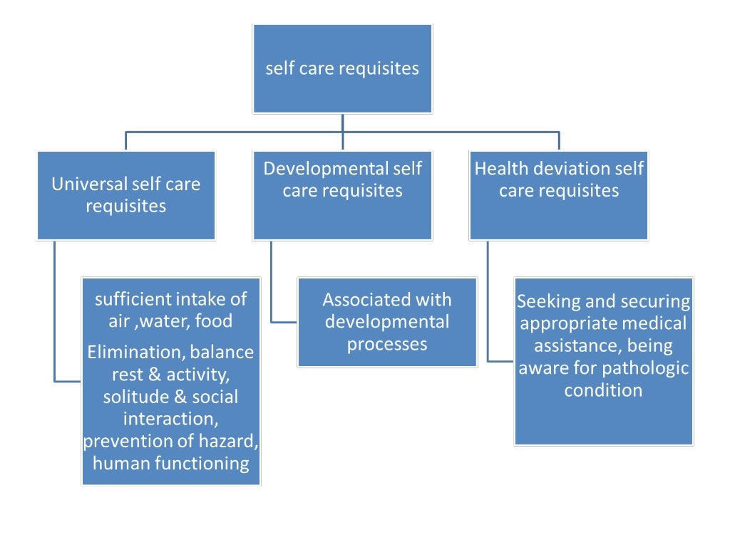 Theoretical foundations of nursing dorothea orem
