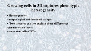 Growing cells in 3D captures phenotypic
heterogeneity
• Heterogeneity
- morphological and functional changes
• Two theories exist to explain these differences
-clonal selection theory
-cancer stem cells (CSCs)
 