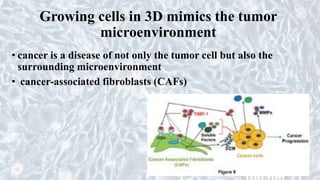 Growing cells in 3D mimics the tumor
microenvironment
• cancer is a disease of not only the tumor cell but also the
surrounding microenvironment
• cancer-associated fibroblasts (CAFs)
 