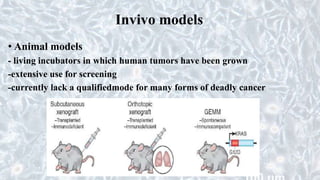 Invivo models
• Animal models
- living incubators in which human tumors have been grown
-extensive use for screening
-currently lack a qualifiedmode for many forms of deadly cancer
 