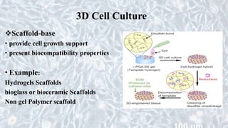 3D Cell Culture
Scaffold-base
• provide cell growth support
• present biocompatibility properties
• Example:
Hydrogels Scaffolds
bioglass or bioceramic Scaffolds
Non gel Polymer scaffold
 