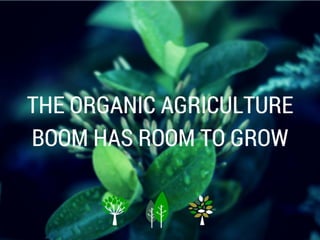 The Organic Agriculture Boom has Room to Grow