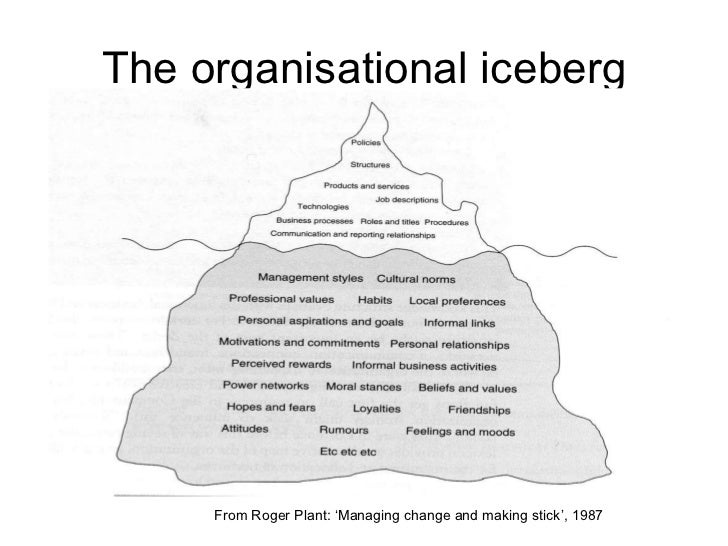 The Organisational Iceberg