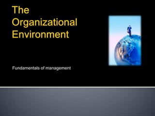 The Organizational Environment Fundamentals of management 