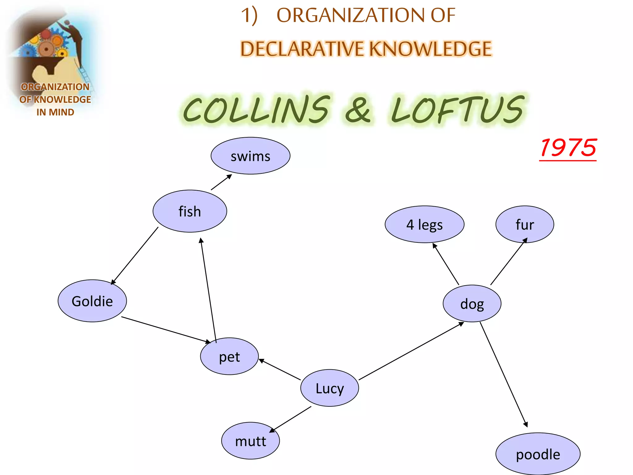 1) ORGANIZATION OF 
DECLARATIVE KNOWLEDGE 
ORGANIZATION 
OF KNOWLEDGE 
IN MIND COLLINS & LOFTUS 
1975 
Goldie 
fish 
swims 
4 legs fur 
poodle 
pet 
mutt 
Lucy 
dog 
 