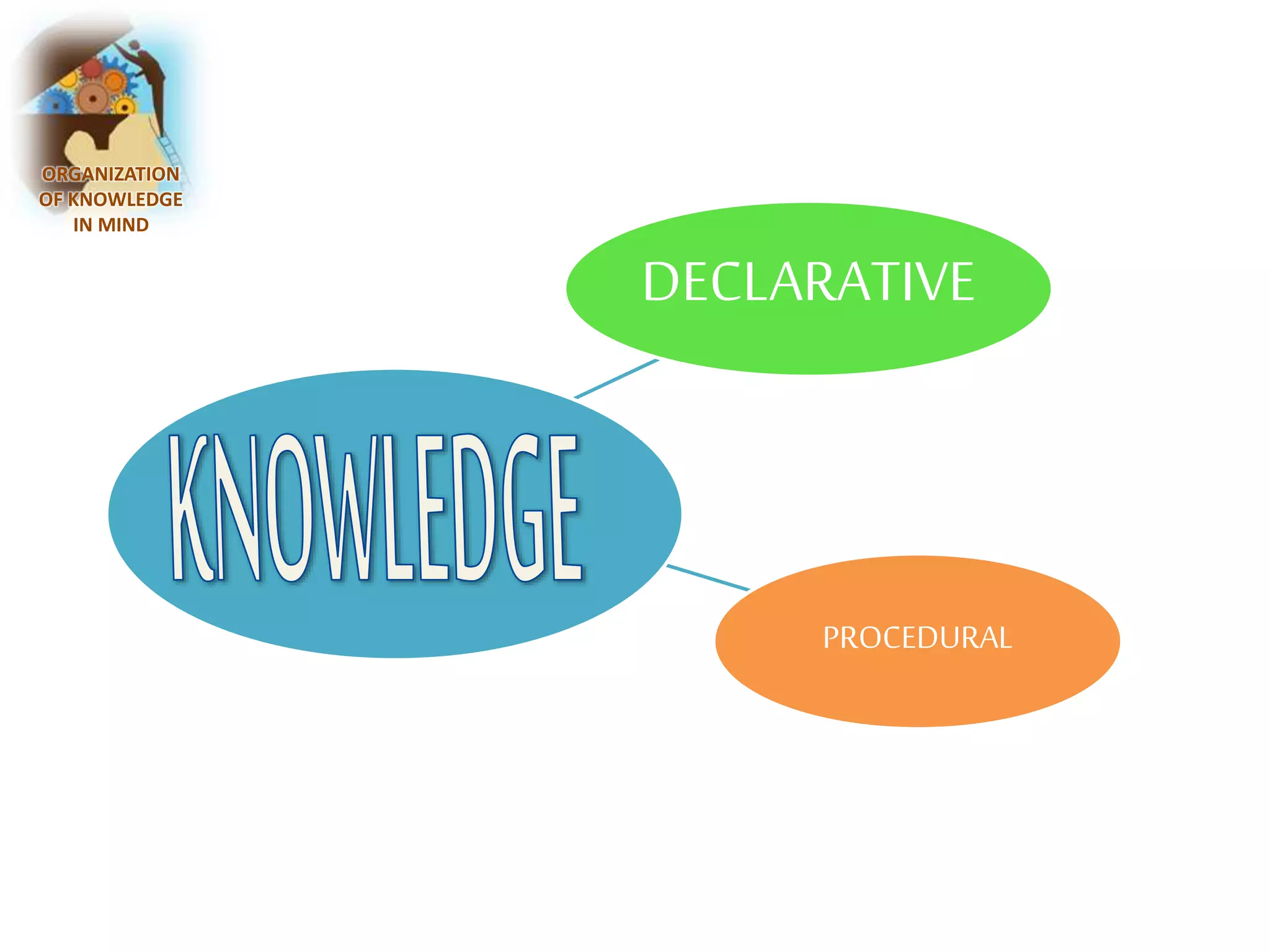 DECLARATIVE 
PROCEDURAL 
ORGANIZATION 
OF KNOWLEDGE 
IN MIND 
 