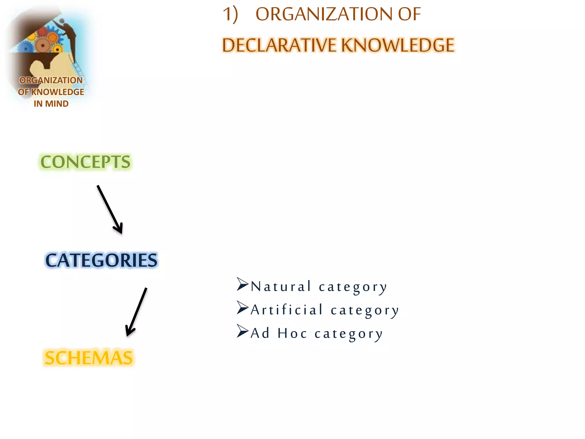 ORGANIZATION 
OF KNOWLEDGE 
IN MIND 
CONCEPTS 
CATEGORIES 
SCHEMAS 
1) ORGANIZATION OF 
DECLARATIVE KNOWLEDGE 
Na t u r a l c a t e g o r y 
A r t i f i c i a l c a t e g o r y 
A d Ho c c a t e g o r y 
 