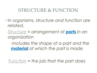 Organization of Living Things Notes | PPT