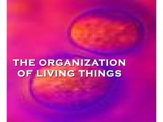 THE ORGANIZATION
OF LIVING THINGS

 