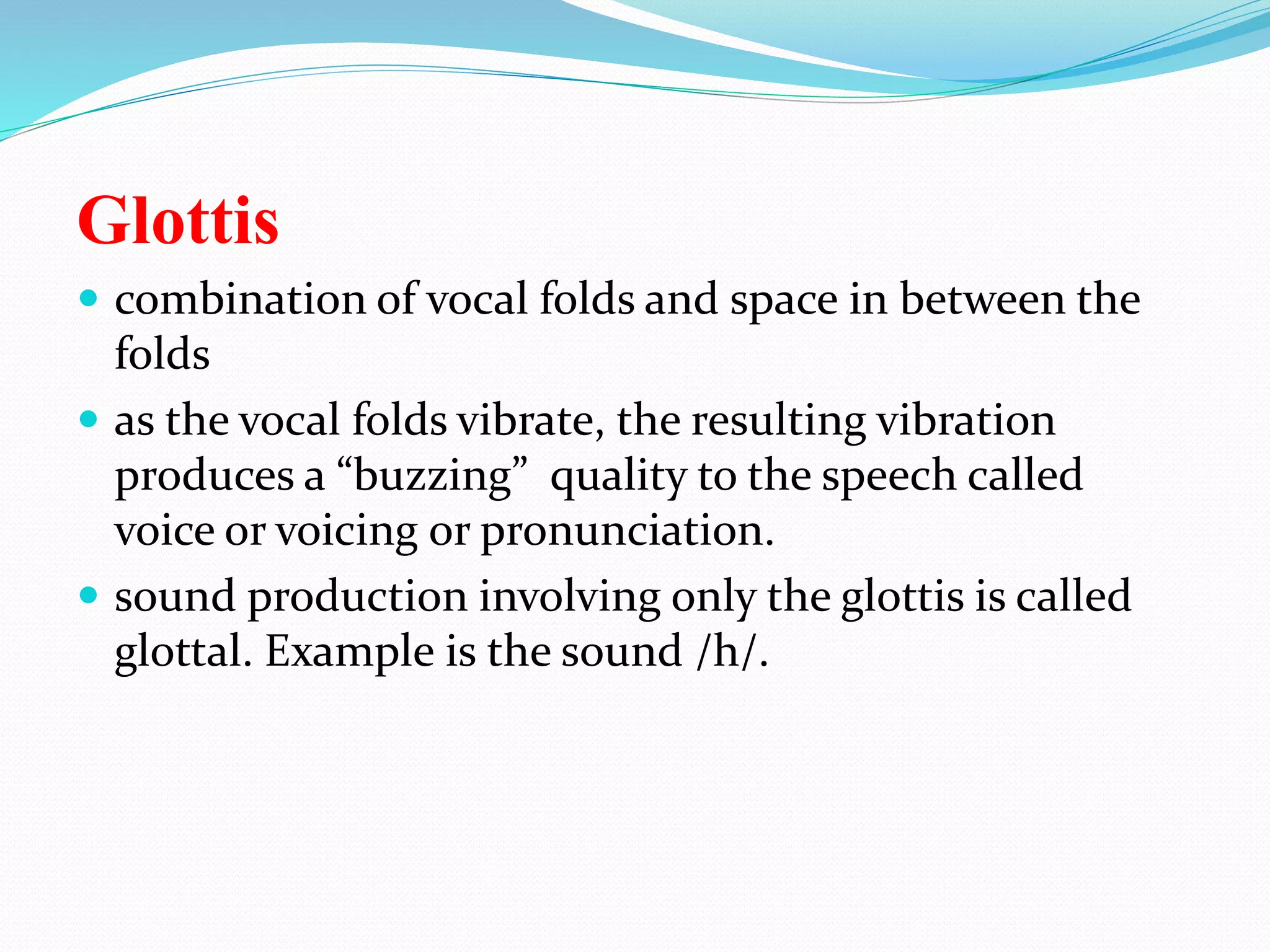 Glottis
 combination of vocal folds and space in between the
folds
 as the vocal folds vibrate, the resulting vibration
produces a “buzzing” quality to the speech called
voice or voicing or pronunciation.
 sound production involving only the glottis is called
glottal. Example is the sound /h/.
 