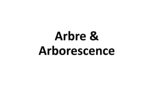 Arbre &
Arborescence
 