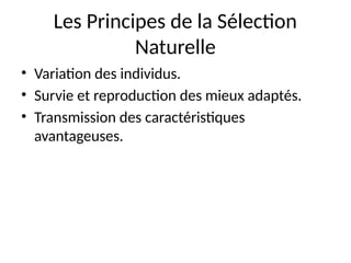 Les Principes de la Sélection
Naturelle
• Variation des individus.
• Survie et reproduction des mieux adaptés.
• Transmission des caractéristiques
avantageuses.
 