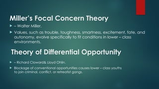 lsu-criminology-theories-of-crime-causation-pptx