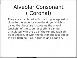 Phonetics, Phonology, Semantics, and Lexicon | PDF