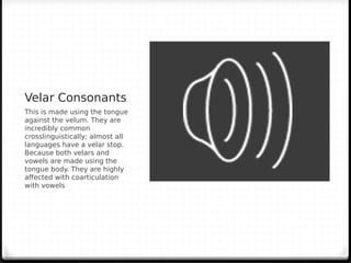 Phonetics, Phonology, Semantics, and Lexicon | PDF