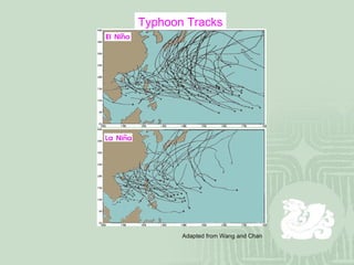 Typhoon Tracks Adapted from Wang and Chan 