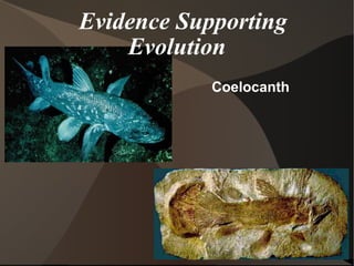 Evidence Supporting Evolution Coelocanth 