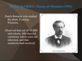 Dutch Botanist who studied the plant, Evening Primrose. Observed that out of 50 000 individuals, 800 showed variations which were not inherited, and that mutations had occurred HUGO DeVRIES: Theory of Mutation (1901) 