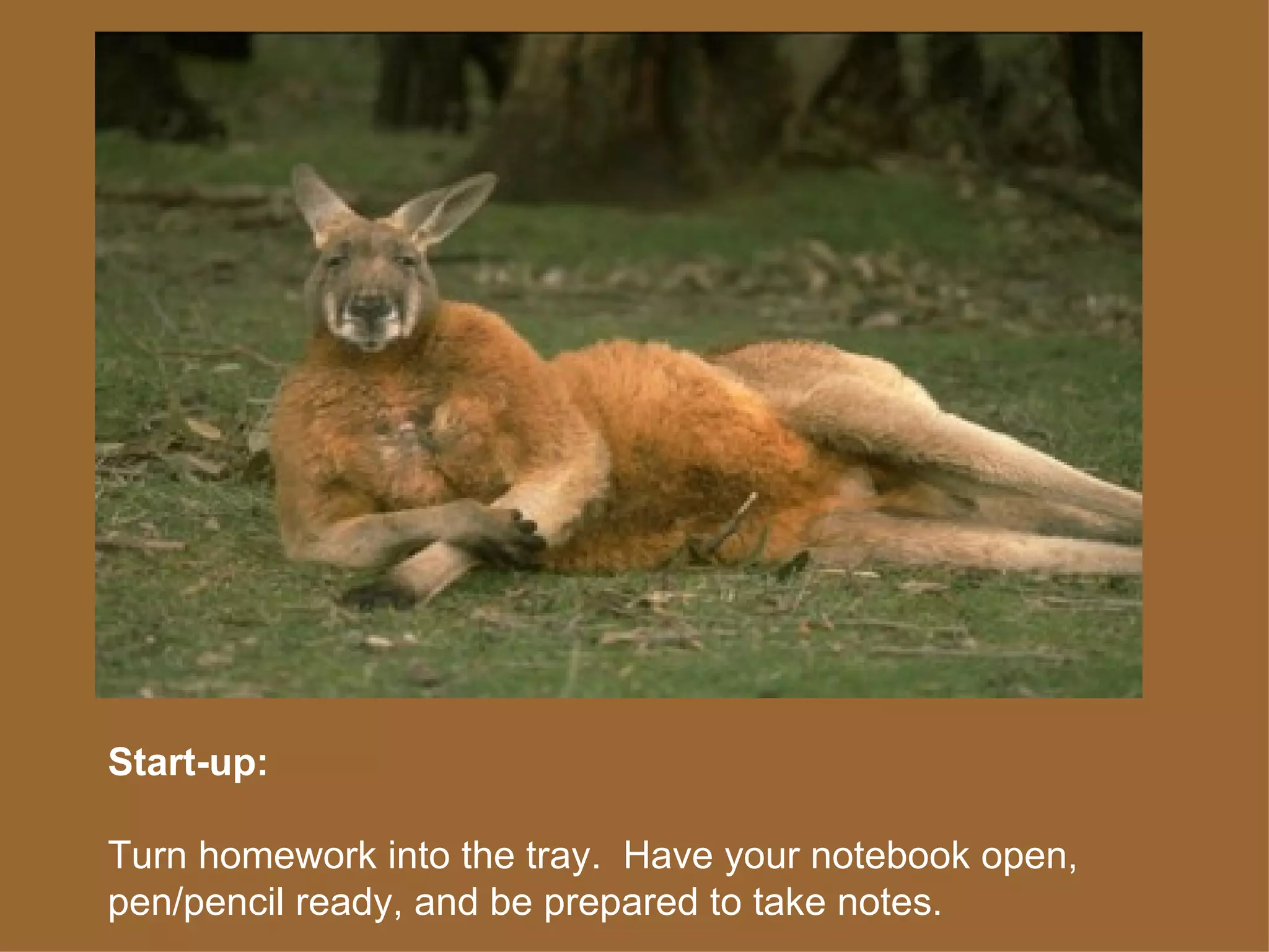 Start-up: Turn homework into the tray. Have your notebook open, pen/pencil ready, and be prepared to take notes.