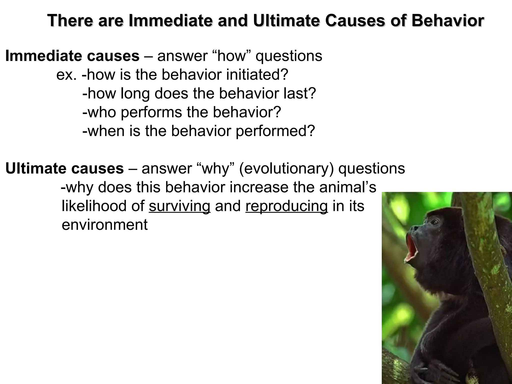 There are Immediate and Ultimate Causes of Behavior Immediate causes – answer “how” questions ex. -how is the behavior initiated? -how long does the behavior last? -who performs the behavior? -when is the behavior performed? Ultimate causes – answer “why” (evolutionary) questions -why does this behavior increase the animal’s likelihood of surviving and reproducing in its environment